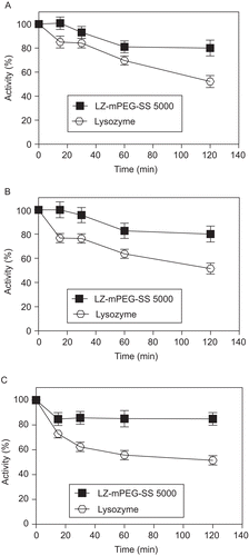 Figure 5.  Resistance to proteolysis of native lysozyme (-○-) and LZ-mPEG-SS 5000 (-▪-), digestion as assessed by enzyme activity upon incubation with Proteomix® (A), Protex 6L® (B) and fungal protease (C). Results are means ± SD, n = 3.