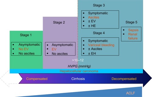 Figure 1 Clinical course of cirrhosis.