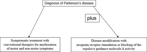 Figure 1 Concept for disease modification in Parkinson’s disease with repulsive guidance molecule A pathway modulation.