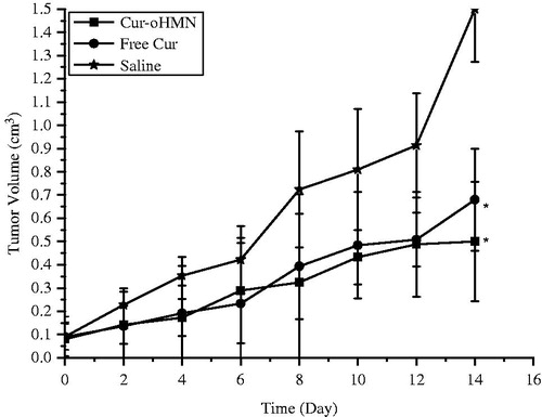 Figure 6. Effect on the inhibition of tumor growth of Cur formulations. Each data represent the mean ± SD (n = 6). *p < 0.05, compared with the free saline.