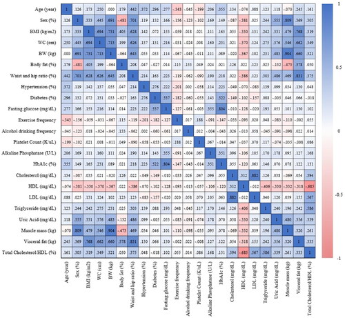 Figure 2. This heatmap visually represents the correlation matrix of 23 features, including age, sex, BMI, WC, BW, body fat, WHR, history of hypertension (HTN) and diabetes mellitus (DM), fasting glucose, exercise frequency, alcohol drinking frequency, platelet count, alkaline phosphatase, HbA1c, cholesterol, HDL-C, LDL-C, triglyceride levels, uric acid, muscle mass, visceral fat, and total cholesterol/HDL-C ratio. The color spectrum in the heatmap spans from deep blue, denoting positive correlations, to deep red, indicating negative correlations.