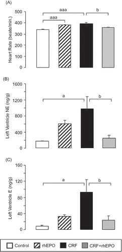 Figure 1. Effects of rhEPO treatment on heart rate and left ventricle sympathetic nervous system activity in a rat model of moderate CRF, at the final time: heart rate (A) and left ventricle content in norepinephrine (B) and epinephrine (C). Results are means ± SEM (seven rats per group): ap < 0.05 and aaap < 0.001 versus the control group; bp < 0.05 versus the CRF group.