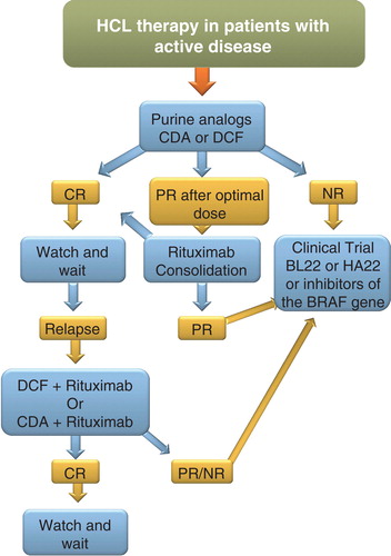 Figure 3. Flow chart illustrating the treatment pathways in HCL.