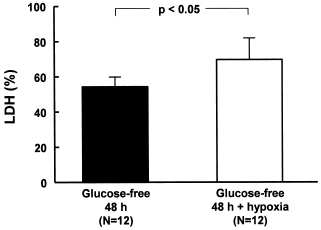 Figure 3. LDH release of MDCK cells deprived of glucose for 48 h and submitted to hypoxia. The cells were incubated with glucose-free culture media during 24 h, then the cells were submitted to hypoxia and the bottles were kept sealed for additional 24 h, thereby completing 48 h incubation in a glucose-free culture media, the last 24 h of which were associates with the hypoxia situation. Data are mean ± SD of culture bottle compared to cells deprived glucose only; p<0.05.
