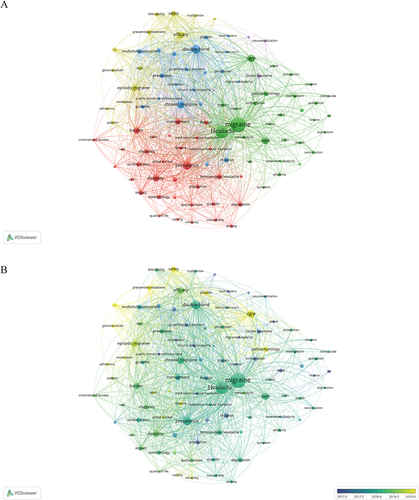 Figure 9 (A) Co-occurrence map of keywords on migraine treatment research generated by the VOS viewer. (B) Overlay map of co-occurrence keywords. The yellower node in the figure represents the latest time of appearance. That is, the future hotspots we are looking for.