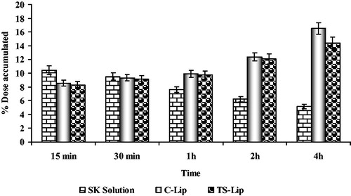 Figure 5. In vivo thrombus accumulation of SK formulations at different time intervals (data presented are mean ± SD, n = 6).