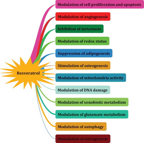 Figure 15. The most relevant biological functions reported for resveratrol.