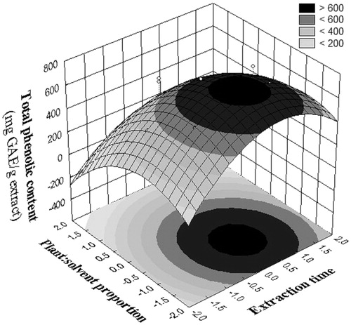 Figure 1. Response surface plot showing the effects of plant:solvent proportion and extraction time on the total phenolic content of the ethanol extract of the aerial parts of Melochia arenosa.