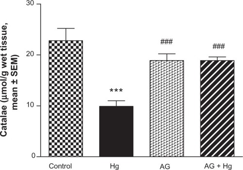 Figure 7 Effect of Hg, AG, and their combination on the catalase activity in rat renal tissues.