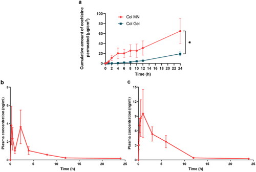 Figure 5. Skin permeation in vitro and pharmacokinetics in vivo of colchicine-loaded microneedles. (a) Cumulative Col permeate from Col-L gel and Col-loaded MN in vitro. * indicates statistical significance at p  < .05; n = 3. Changes in plasma Col concentration in rats with time within 24 h after intragastric administration of Col solution (b) and dermal application of Col-loaded MN (c); n = 4. Abbreviations: Col, colchicine; MN, microneedle.