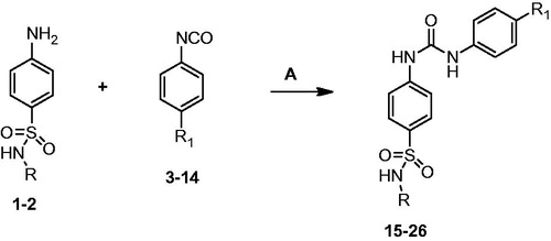 Scheme 1. Synthesis of N-(5-methyl-isoxazol-3-yl/1,3,4-thiadiazol-2-yl)-4-(3-substituted phenylureido)benzenesulfonamide derivatives. Reagent and conditions: A. Dried DMF reflux, 5–6 h.