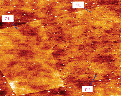 Figure 8. AFM images of oxidized single-layer (1L) and double-layer (2L) graphene.
