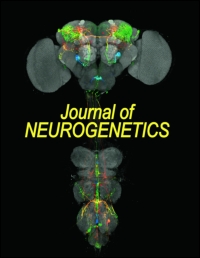 Cover image for Journal of Neurogenetics, Volume 22, Issue 4, 2008