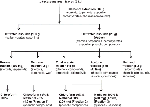 Chart 1.  Schematic representation of bioassay-guided fractionation of methanol extract of Ichnocarpus frutescens.