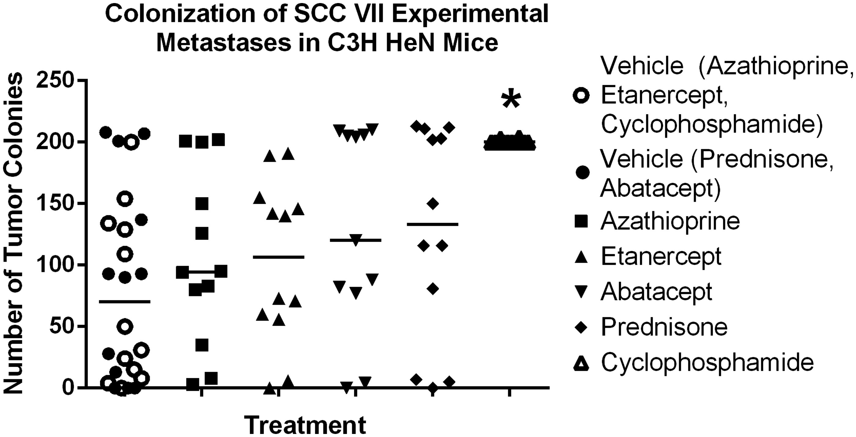 Figure 4. Experimental metastases. CTX increases experimental metastases. Line at median. *Significantly less than vehicle control (p < 0.05); n = 12/group. Treatment group always compared back to respective control.