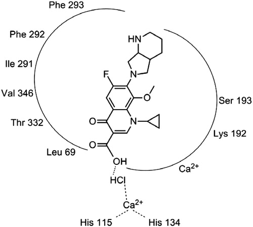 Figure 4. Schematic representation for the interaction of moxifloxacin hydrochloride (a) with the hPON1 active site.