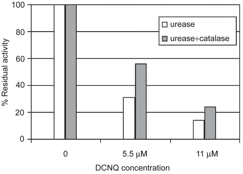 Figure 4.  Catalase influence on urease inactivation by DCNQ. DCNQ concentration was equal to 5.5 and 11 μM.