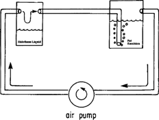 FIG. 1. Schematic diagram of the technique used to dissolve halothane gas in a fat emulsion by closed-loop circulation of halothane gas with an in-circuit gas pump.