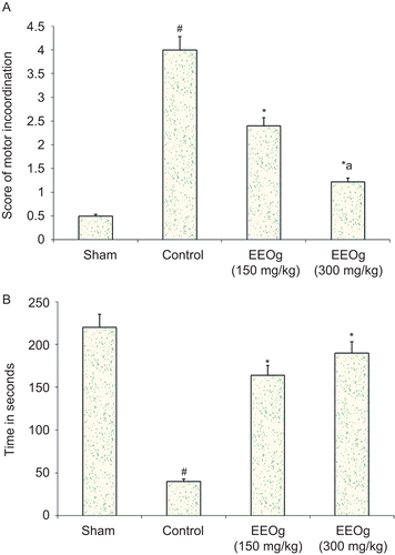 Figure 4.  A) Effect of ethanol extract of O. gratissimum (EEOg) on impairment of motor performance (inclined beam test) in rats subjected to focal cerebral ischemia and 24 h reperfusion injury. The data are expressed as mean ± S.D.; n = 7; ANOVA followed by post hoc Kruskal-Wallis test; #p <0.05 versus sham; *p <0.05 versus control; ap <0.05 versus 150 mg/kg dose of EEOg. B) Effect of EEOg on impairment of motor performance (rota-rod test) in rats subjected to focal cerebral ischemia and 24 h reperfusion injury. The data are expressed as mean ± SD; n = 7; ANOVA followed by Bonferroni’s post hoc correction test; *p <0.05 versus control; #p <0.05 versus sham.
