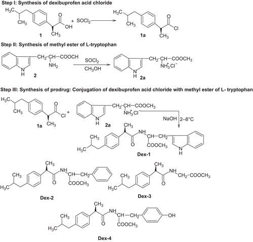 Scheme 1.  Synthetic protocol of amide prodrugs of dexibuprofen.