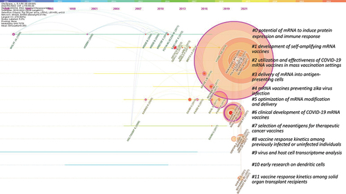 Figure 4. The timeline view of co-citation network.