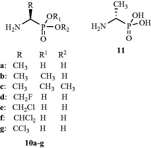 Figure 9. Structures of 1-aminoethylphosphonic acid enantiomers 10a–g and 11 as Alr inhibitors.
