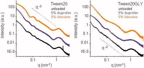 Figure 1. SAXS intensity spectra for Tw20 (left panel) and TW20-GLY (right panel) based systems, at pH 7.4, vertically shifted for enhanced visibility. From bottom to top: unloaded (black), loaded with 5% ibuprofen, loaded with 5% lidocaine. Dash lines decrease with q−2 behavior, typical for bilayer structures.