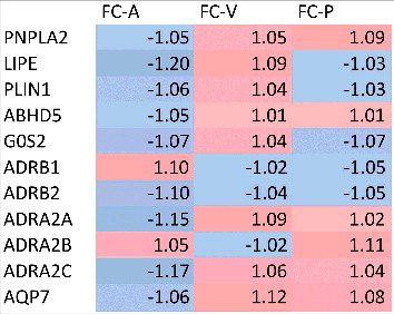 Figure 2. Gene expression profiling of lipolysis-related genes in adipose tissue before and after intervention, compared to placebo. This heat map depicts fold changes (FC) observed after compared to before AMOX (A), VANCO (V) and PLA (P) intervention. Data are derived from n = 15 individuals.