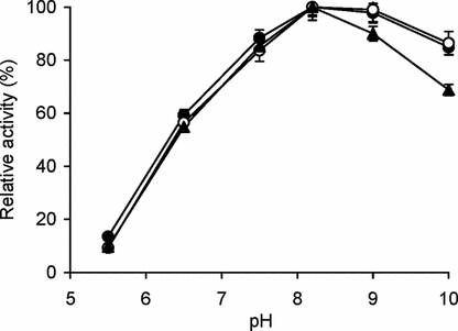 Figure 1 Effect of pH on enzyme activity. The enzyme assay for free (▴) and immobilized enzyme (conjugate A, •; conjugate B, ○) with matched enzyme activities was carried out at pH values ranging from pH 5.5–10.0 at 25°C with BAPNA as the substrate as given in materials and methods. The relative activity (%) was calculated by taking the maximum activity at optimum pH to be 100% and calculating activities at other pH values relative to it. The experiment was carried out in duplicate and the error bars represent the variation in the readings. The observed standard deviation in each set of readings was less than 0.1%.