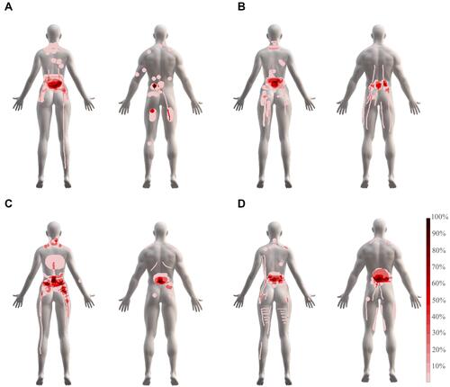 Figure 2 Digital pain chart of the body for aerobic (A), stretching (B), strengthening (C), and control (D) groups.