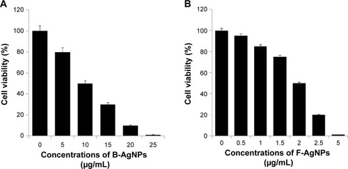 Figure 6 Effect of B-AgNPs and F-AgNPs on cell viability of MDA-MB-231 cells.Notes: Cells were treated with various concentrations of B-AgNPs (A) and F-AgNPs (B) for 24 hours, and cytotoxicity was determined by the MTT method. The results are expressed as the mean ± SD of three independent experiments, each of which contained three replicates. Treated groups showed statistically significant differences from the control group by the Student’s t-test (P<0.05).Abbreviations: B-AgNPs, bacterium-derived AgNPs; F-AgNPs, fungus-derived AgNPs; MTT, 3-[4,5-dimethylthiazol-2-yl]-2,5-diphenyltetrazolium bromide; SD, standard deviation.