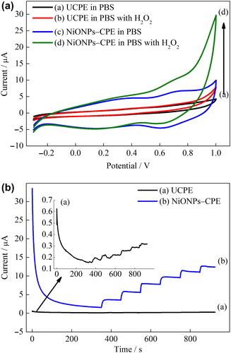 Figure 4. (A) CVs of the UCPE and NiONPs–CPE in the absence and presence of 1 mmol L–1 H2O2 (scan rate = 50 mVs–1) in 0.1 mmol L–1 PBS (pH 7.0). (B) Amperometric responses of the UCPE and NiONPs–CPE for the oxidation of H2O2 in 0.1 M PBS (pH 7.0) at 0.4 V vs. Ag/AgCl.