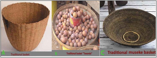 Figure 5. Traditional baskets used to collect U.kirkiana in Zimbabwe (a and b) and Zambia (c)