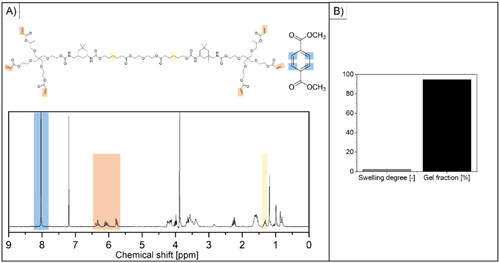 Figure 2. Physico-chemical characterization of the developed AUP-PCL530-HA polymer. (A) shows the 1H-NMR spectrum of the product (the representative peaks are highlighted in yellow for the PCL backbone and in orange for the acrylate moieties) and of dimethyl terephthalate (DMT, internal standard, the representative peak is highlighted in blue). The acrylate content (2.17 mmol/g AUP-PCL530-HA) and molar mass (Mw = 2600 g/mol) of the product were evaluated based on the highlighted integrals and of EquationEqs. (1)–(2) and are in line with previous reports (O’Neil, Citation2001). (B) represents the swelling degree and gel fraction of the final product. The swelling degree implied limited swelling in chloroform, while the gel fraction suggested efficient photo-crosslinking.