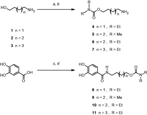 Scheme 1. Reagents and conditions: (a): 6 M HCl, benzene, Dean-Stark distillation; (b): R2NCOCl, CH3CN, reflux, 12 h; (c): N,N′-bis(4-methylphenyl)carbodiimide, CH3CN, 40 °C, 12 h; (d): 4–7, CH3CN, 40 °C, 24–72 h.