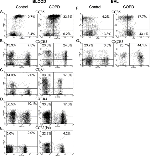 Figure 1 Representative flow cytometry dot plots of chemokine receptor expression on T-cells from blood (A-E) and BAL (F-G) from a never smoker control and a COPD subject. A. and F. CCR5; B and G. CXCR3; C. CCR4; D. CXCR4 and E. intracellular CCR3. T cells were selected using SSC vs. CD3 (data not shown). Quadrant markers were set using a cell population known to lack expression of the marker of interest. The chemokine [PE stained] of interest is on the y-axis and CD8 [FITC] on the x-axis (with the exception of CCR5 [FITC] on the x-axis with CD8 [PE] on the y-axis). The percentage of cells expressing chemokine receptors are shown in the relevant quadrants.