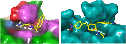 Figure 4. Left: Molecular surface of the binding site of GRL0617 that occupies the S4 - S3 pockets of the substrate binding cleft S4 - S3 - S2 - S1 of PLpro of SARS-CoV-2. The flexible BL2 loop G266-NYQC-G271 stabilises the bound ligand in its position by closing on the inhibitor (PDB entry 7CMD) Citation62. Right: Binding site of the model of noncovalent complex PLpro - T98. The partially transparent molecular surface of the enzyme illustrates the shape of the pockets of the substrate binding cleft. The amine tail is oriented downward and is not fully visible. Atom colouring scheme: H, white; C, yellow; N, blue; O, red. Only polar hydrogens are shown.