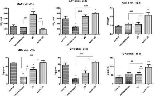 Figure 6. Catalase (A) and glutathione peroxidase (B) activities in plantar tissue at 2 h, 24 h and 48 h after carrageenan administration. CAT activity increased at 2 h in the VO-treated group (p < 0.01) and at 48 h in the group receiving AuNP-VO (p < 0.001), compared to controls. GPx activity was improved 48 h after AuNP-VO treatment (p < 0.001 vs. control group; p < 0.01 vs. Indomethacin group). The statistical significance between the compared groups was evaluated with one-way ANOVA followed by the Tukey-test, *p < 0.05, **p < 0.01, ***p < 0.001 vs control group; ##p < 0.01, ###p < 0.001 vs Indomethacin group; ^^^p < 0.001 between VO and AuNP-VO.