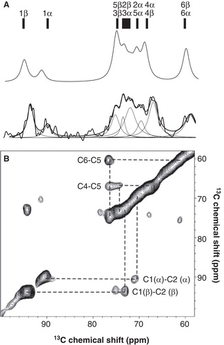 Figure 3. Experiments to assign the 13C NMR spectrum of D-[13C6]glucose in inner membrane preparations from E. coli with amplified expression of GalP. (A) Top: A simulated 1D 13C NMR spectrum of D-glucose calculated from the measured chemical shift values for D-[13C6]glucose in water but using line widths comparable to those for D-[13C6]glucose in the membrane preparations. Bottom: An experimental 1D CP-MAS NMR spectrum of D-[13C6]glucose in the GalP membranes obtained with 4 kHz MAS and a contact time of 1 ms. Comparison of the simulated and experimental spectra with similar line widths highlights the differences in chemical shifts for glucose in the two environments. (B) Region of a 2D DARR spectrum of D-[13C6]glucose in the GalP membranes obtained with 8 kHz MAS, showing the cross peaks assigned to glucose. The measured chemical shifts were used to peak fit the 1D spectrum in (B), by varying only the peak widths and areas (as shown in the overlaid deconvolution in B). The experimental temperature was −15°C.
