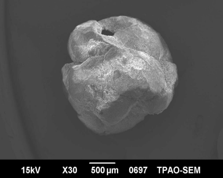 FIG. 3.  Scanning electron micrograph of F3 formulation.