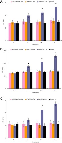 Figure 9 ALT (A), CPK (B), and LDH (C) levels of mice analyzed to determine the tolerance of nanoparticles in vivo. Mice treated with LAC-SFN/CCM-NPs and SFN/CCM-NPs showed a negligible change of those enzymes and markers over the control group. Data represent mean ± SD, *means P < 0.05 compared with control.