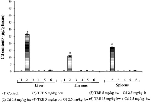 Figure 1. Hepatic, thymic, and splenic Cd contents in rats treated with CdCl2 alone or plus TRE with different doses for 14 days. Values shown are mean (±SEM). *Value significantly different (p < 0.05) compared to control and all co-treatment rats in corresponding tissue.