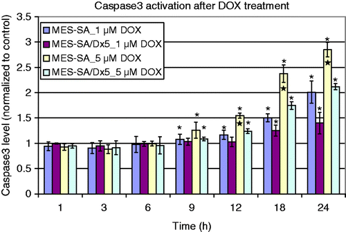 Figure 1. Caspase-3 level after DOX treatment. n = 3 experiments. Data were presented as mean ± SD. *Statistical significance comparing each treatment to control cells (cells without treatment), with one-sided Student's t-test (α = 0.05). ★Statistical significance among the groups by ANOVA with Bonferroni post-hoc correction (α = 0.05).