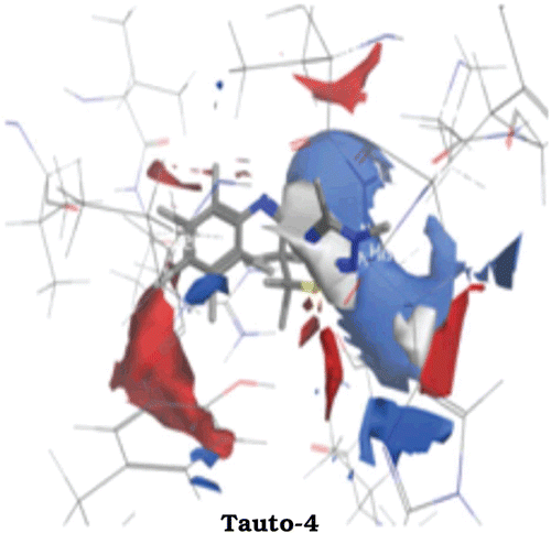 Figure 6.  Receptor based electrostatic regions in the active site of COX-1. Blue = donor, Red = acceptor and white = hydrophobic regions.