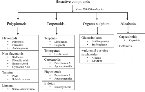 Figure 1. Groupings of bioactive compounds present in fruits and vegetables. Source: Desjardins.[Citation19] β-carotene α-carotene
