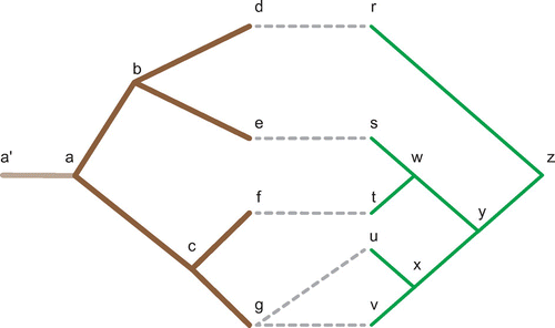 Figure 4. A coevolutionary relationship represented using the host and parasite phylogenies first shown in Figure 1. In this case, each node in the host and parasite tree is labelled to assist in the reconstruction described in Appendix 1. Of note node has been fixed to a timing interval before which leads to the reconstruction described in Appendix 1 and an edge has been added to the root of to map all parasite divergence events which occurred prior to this phylogeny.