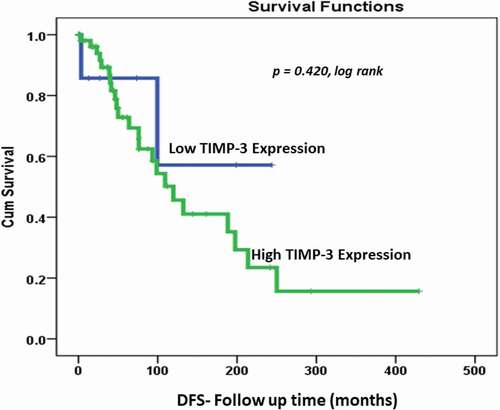 Figure 3. Cytoplasmic TIMP3 expression (0,1 vs 2,3) as determinant of disease-free survival (DFS) in univariate (Kaplan–Meier) analysis. (p = 0.42, log rank)