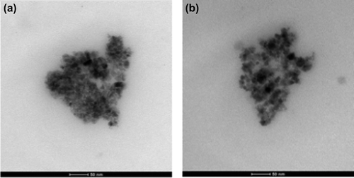Figure 6. High resolution (HRTEM) images of (a) D3e, and (b) D3 nanospheres with 50 magnification.