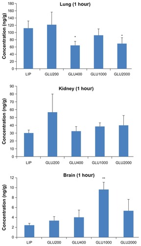 Figure 7 The distributions in different organs 1 hour after the intravenous injection of different coumarin 6-loaded liposomes (n = 3).Notes: *P < 0.05 compared with LIP; **P < 0.01 compared with LIP; ***P < 0.001. compared with LIP.Abbreviations: GLU, glucose; LIP, liposomes.