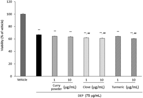 Figure 2. Effects of curry powder, clove, and turmeric extracts on DEP-induced viability of human airway epithelial cells. Cells were exposed to the indicated concentrations of DEP and each extract for 24 h. Viability was measured by WST-1 assay. Data are represented as mean ± SE of four individual cultures. **p < 0.01, versus vehicle; ##p < 0.01, versus DEP.